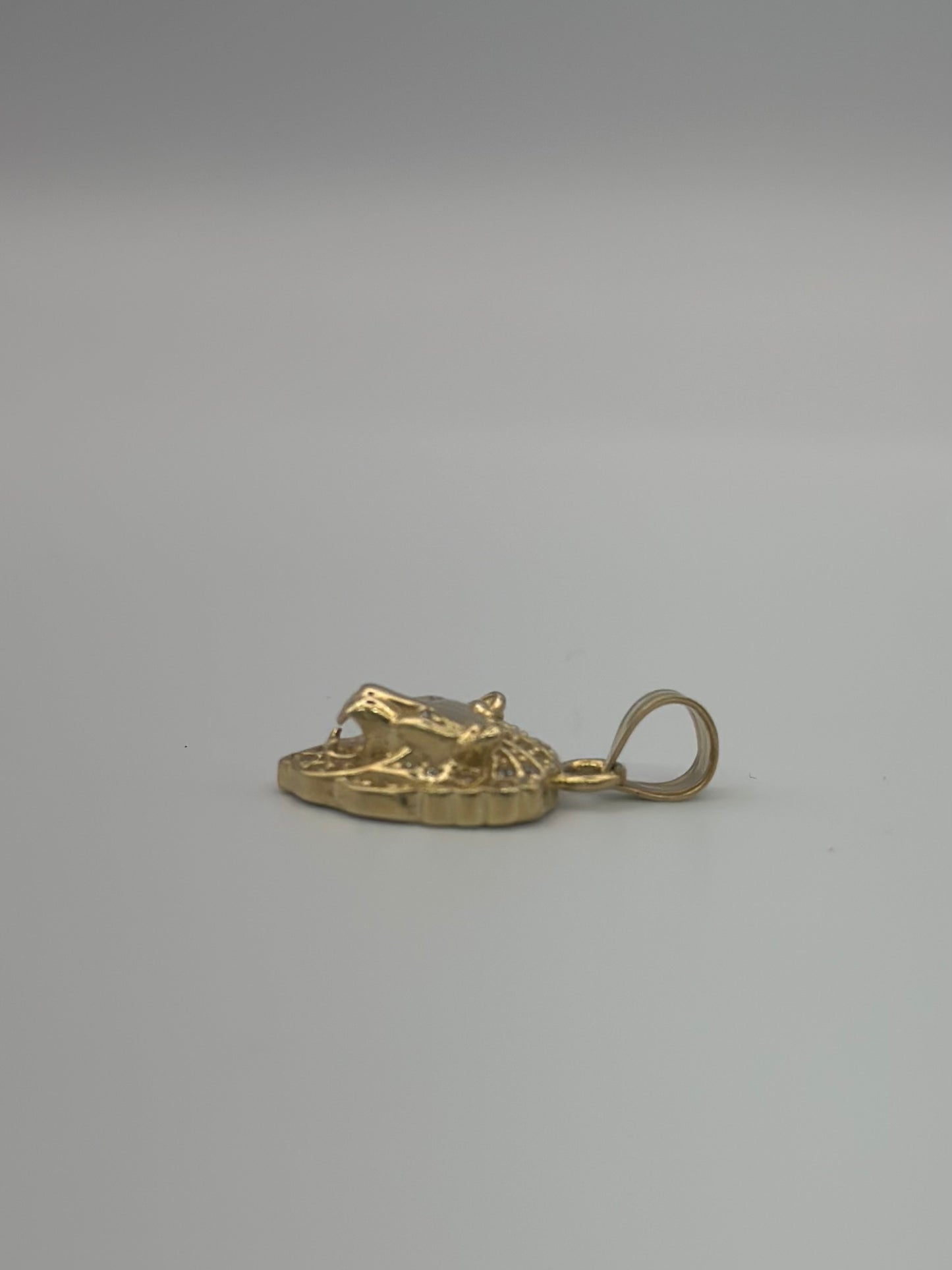 Lion pendant